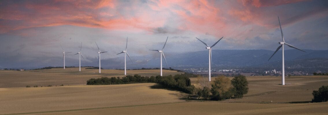 Essential EDF Energy case study