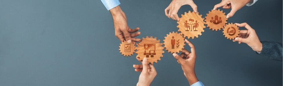 Essential stakeholders agree on LMS